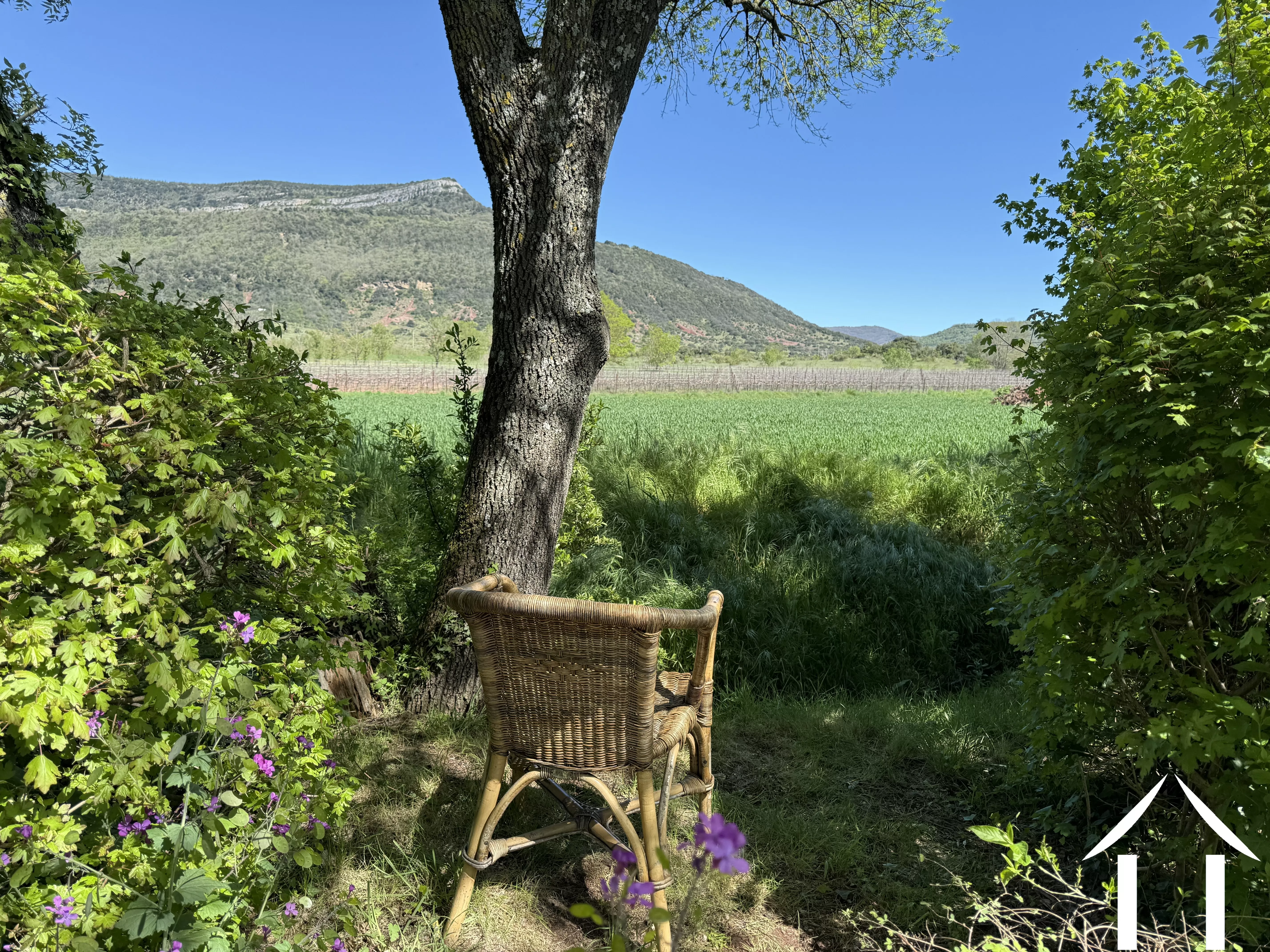 Woonhuis te koop la tour sur orb, languedoc-roussillon, 11-2520 Afbeelding - 2