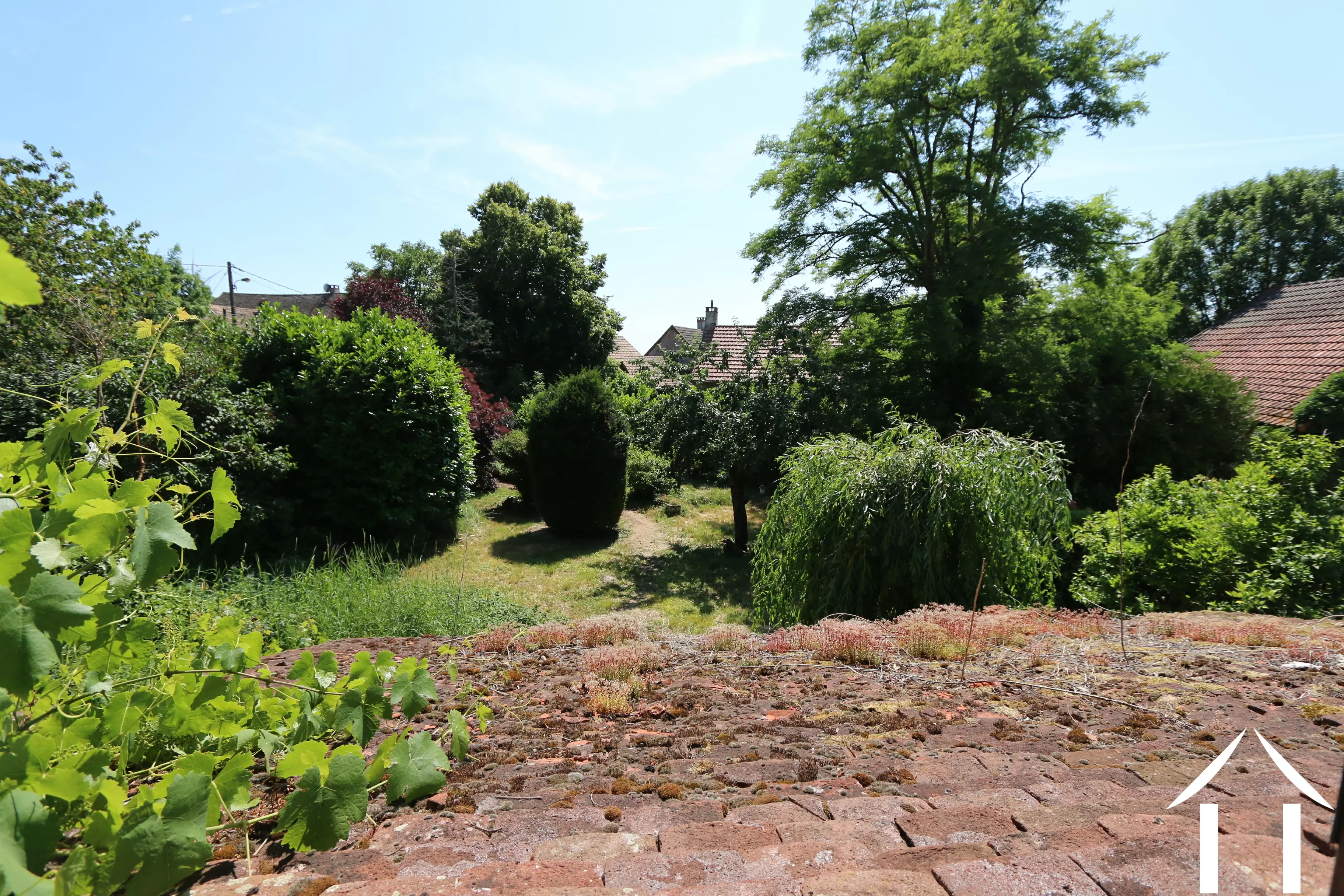 Uitzicht vanuit de keuken