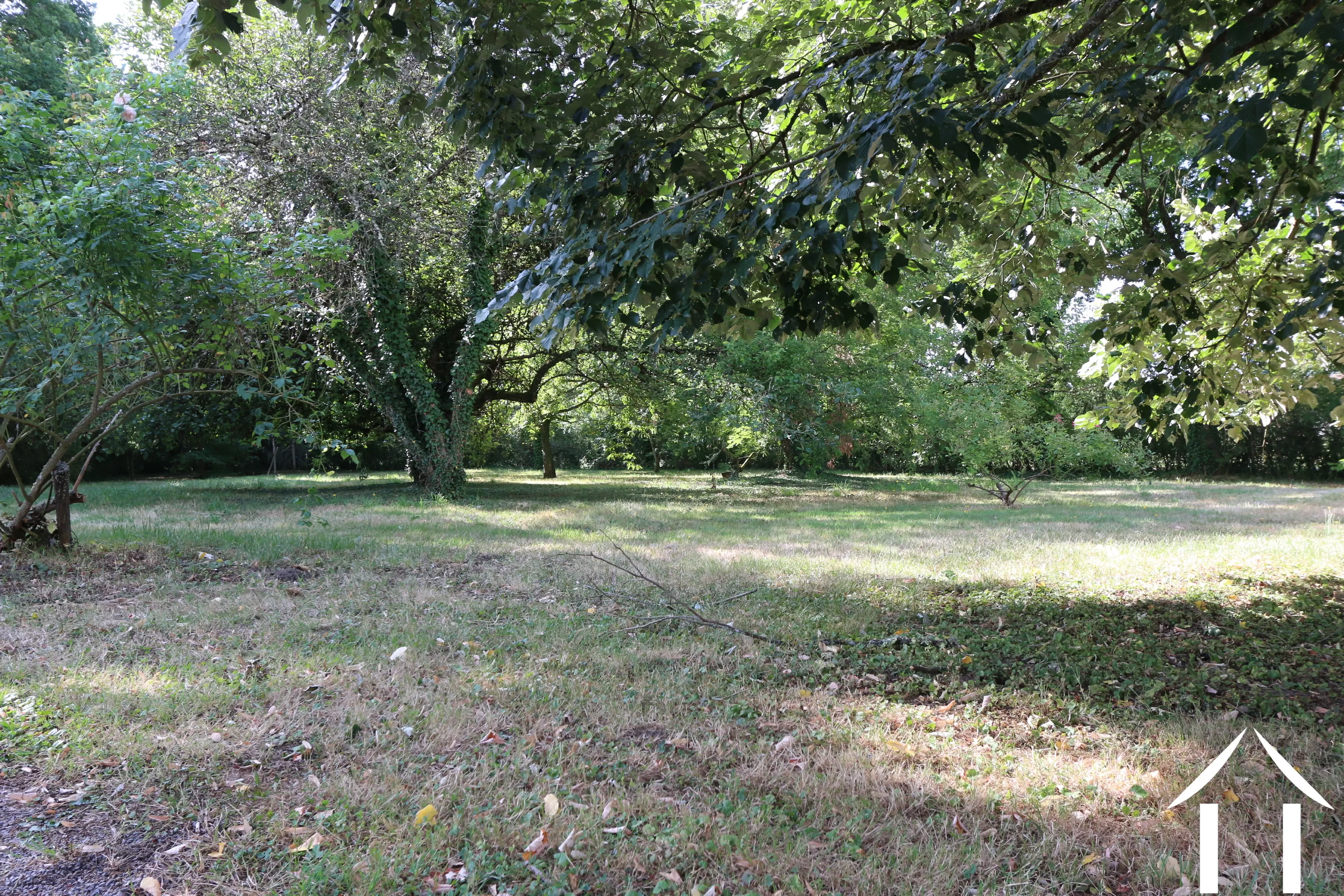 Bosrijke tuin
