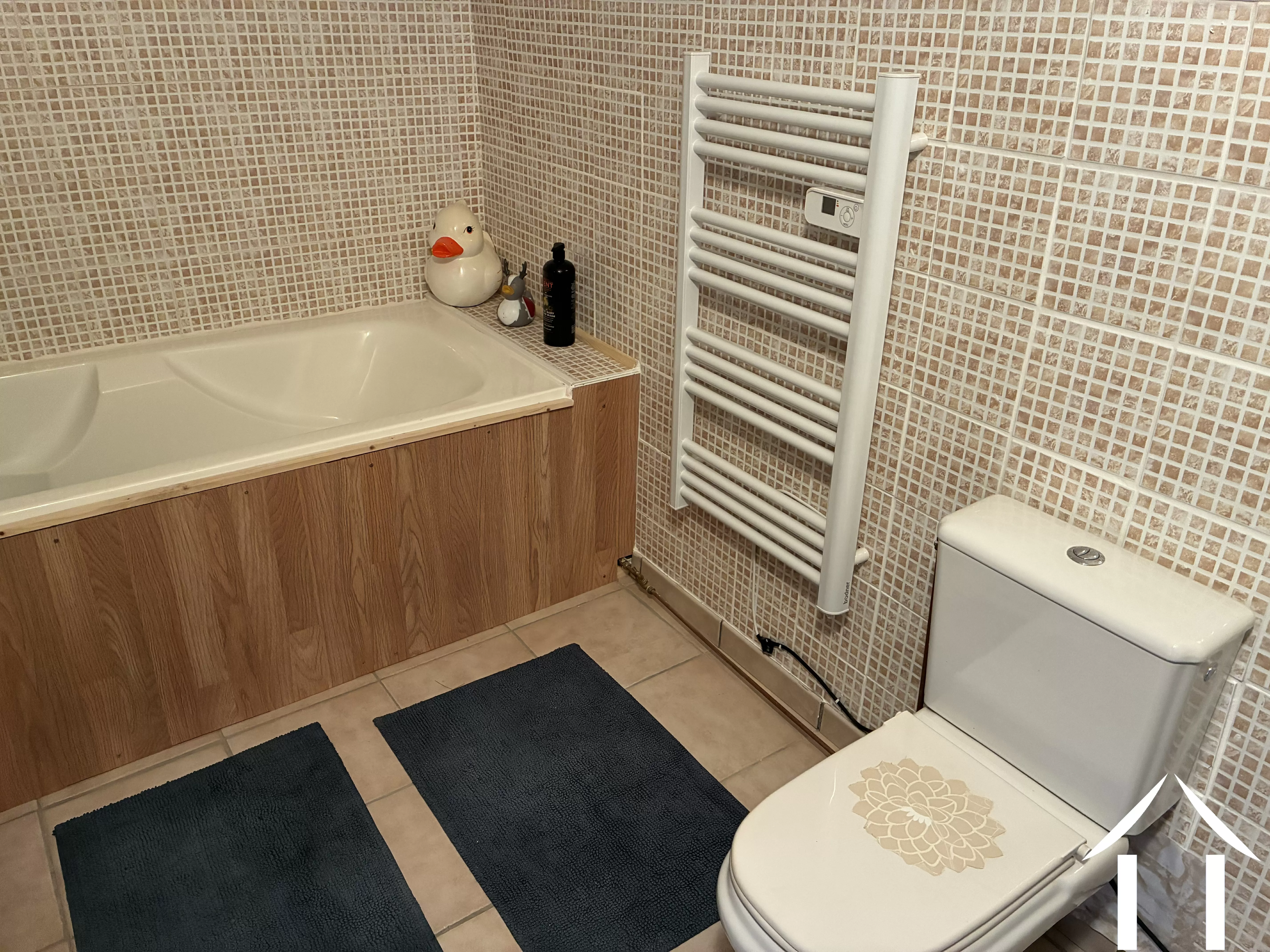 Woonhuis te koop mont et marre, bourgogne, CvH5616L Afbeelding - 13