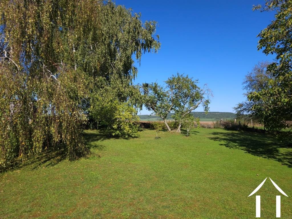 Tuin met volwassen bomen