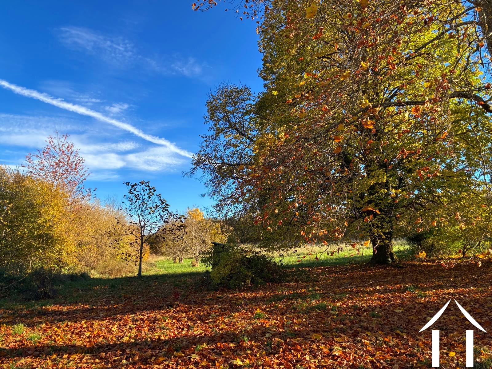 Woonhuis te koop montsauche les settons, bourgogne, cvh5635 Afbeelding - 4