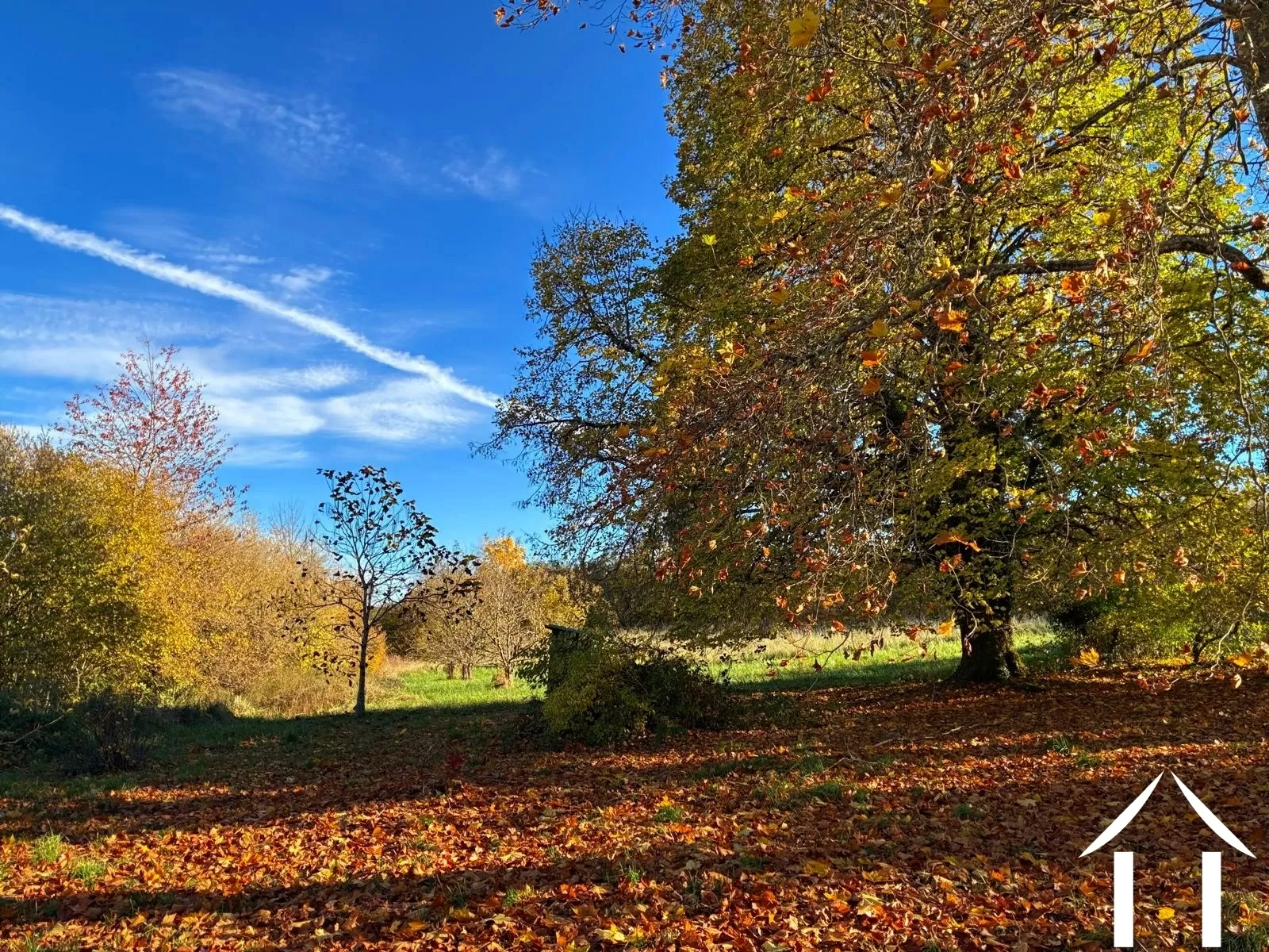 Woonhuis te koop montsauche les settons, bourgogne, cvh5635 Afbeelding - 4