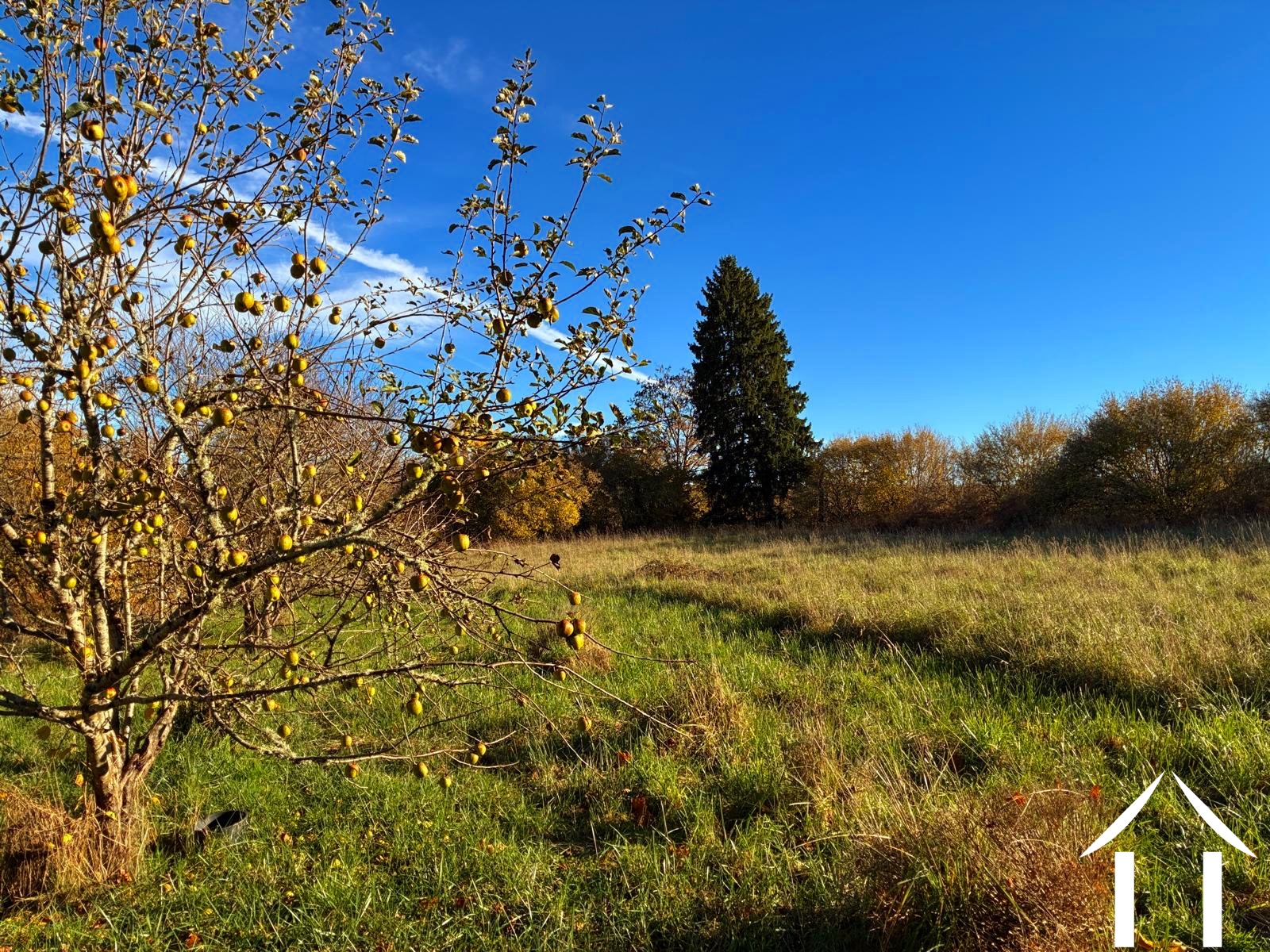 Woonhuis te koop montsauche les settons, bourgogne, cvh5635 Afbeelding - 12