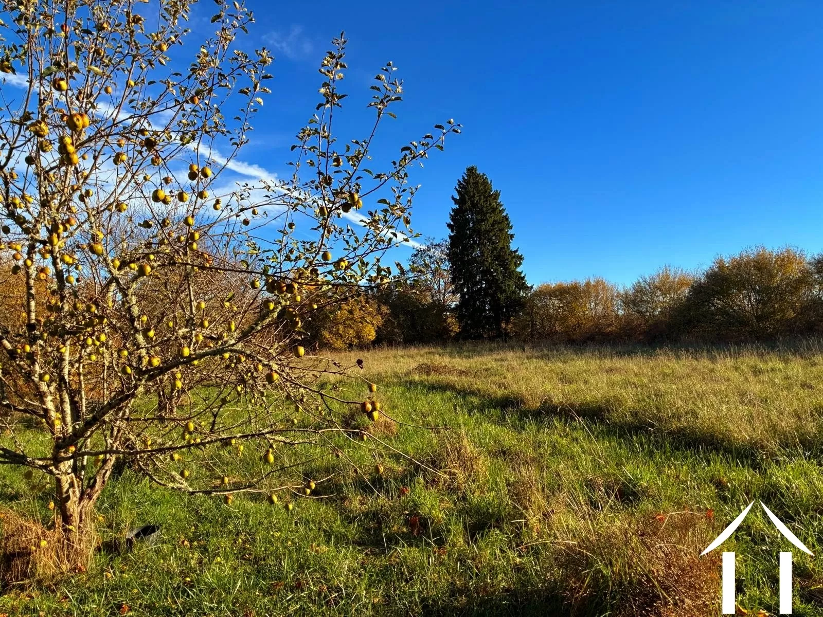 Woonhuis te koop montsauche les settons, bourgogne, cvh5635 Afbeelding - 12