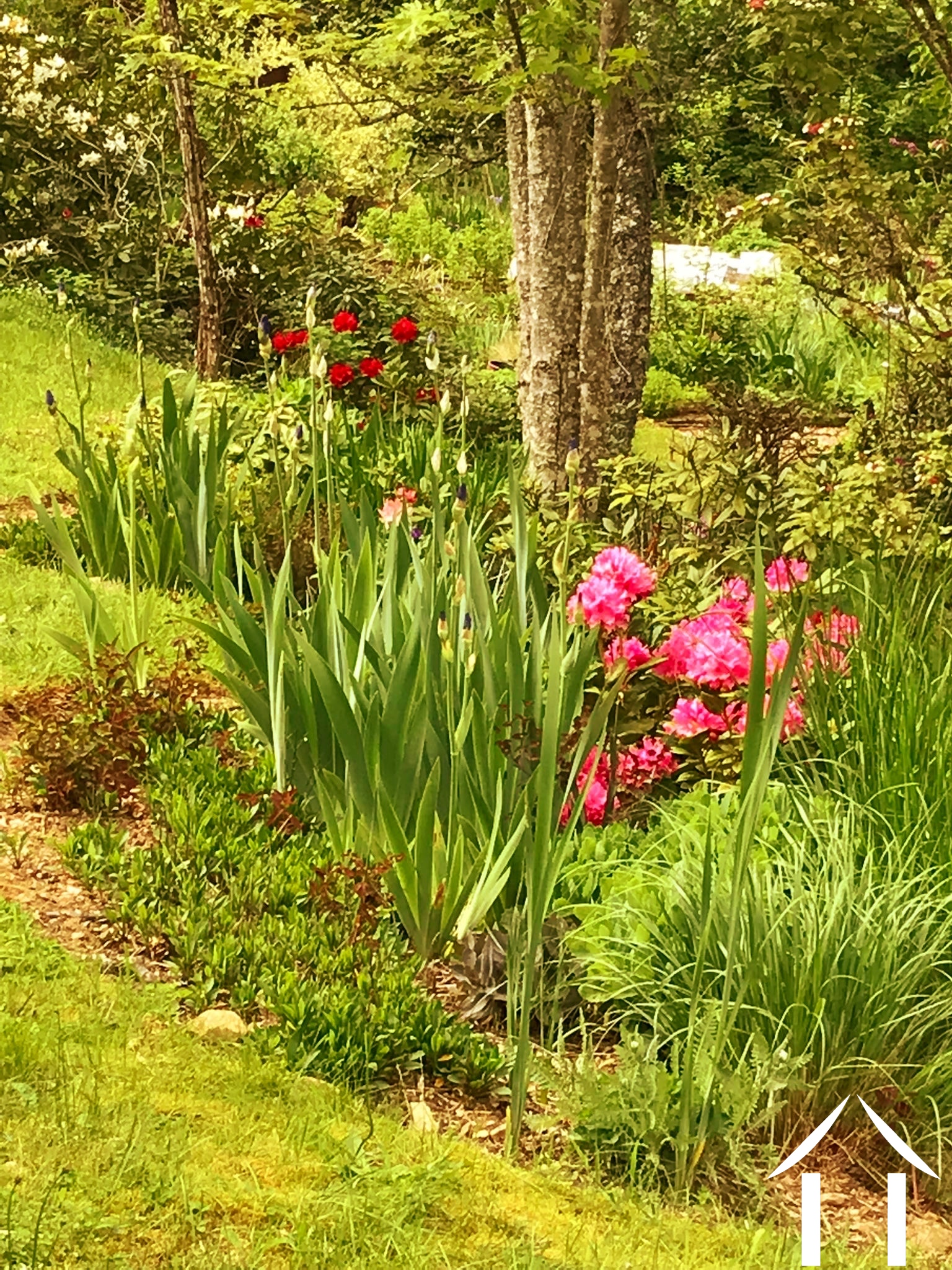 Woonhuis te koop cussy en morvan, bourgogne, cvh5641 Afbeelding - 15