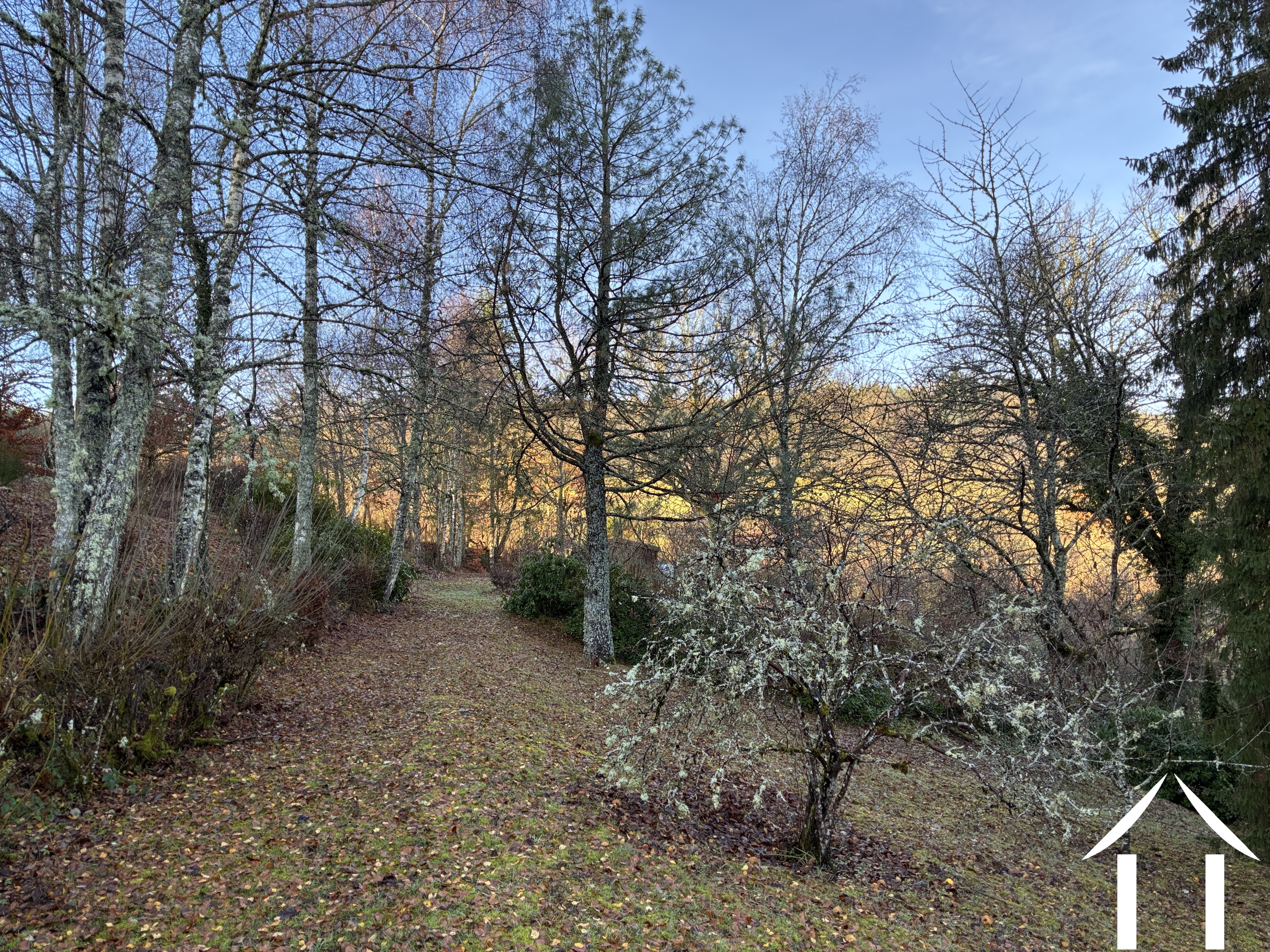 Woonhuis te koop cussy en morvan, bourgogne, cvh5641 Afbeelding - 19