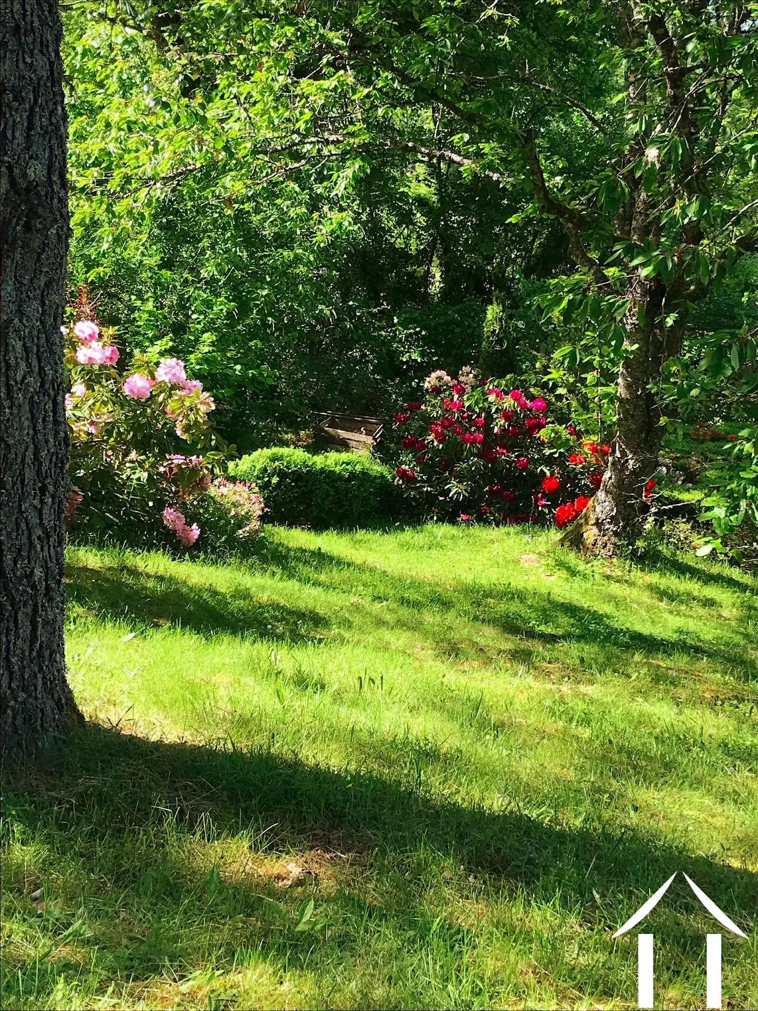 Woonhuis te koop cussy en morvan, bourgogne, cvh5641 Afbeelding - 6