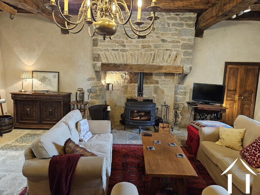 Charmante salon met open haard en vele kenmerken