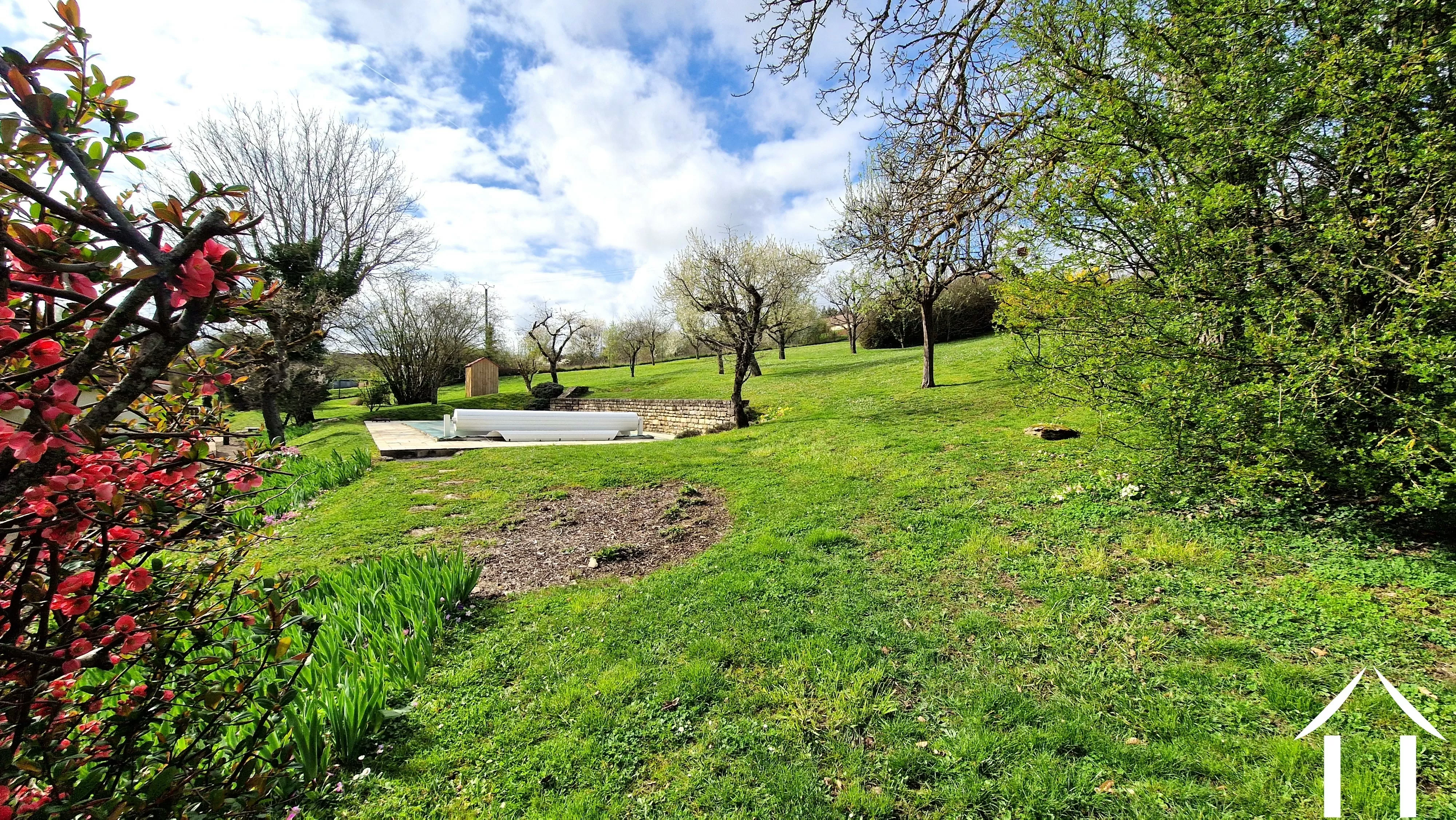 Achtertuin met zwembad