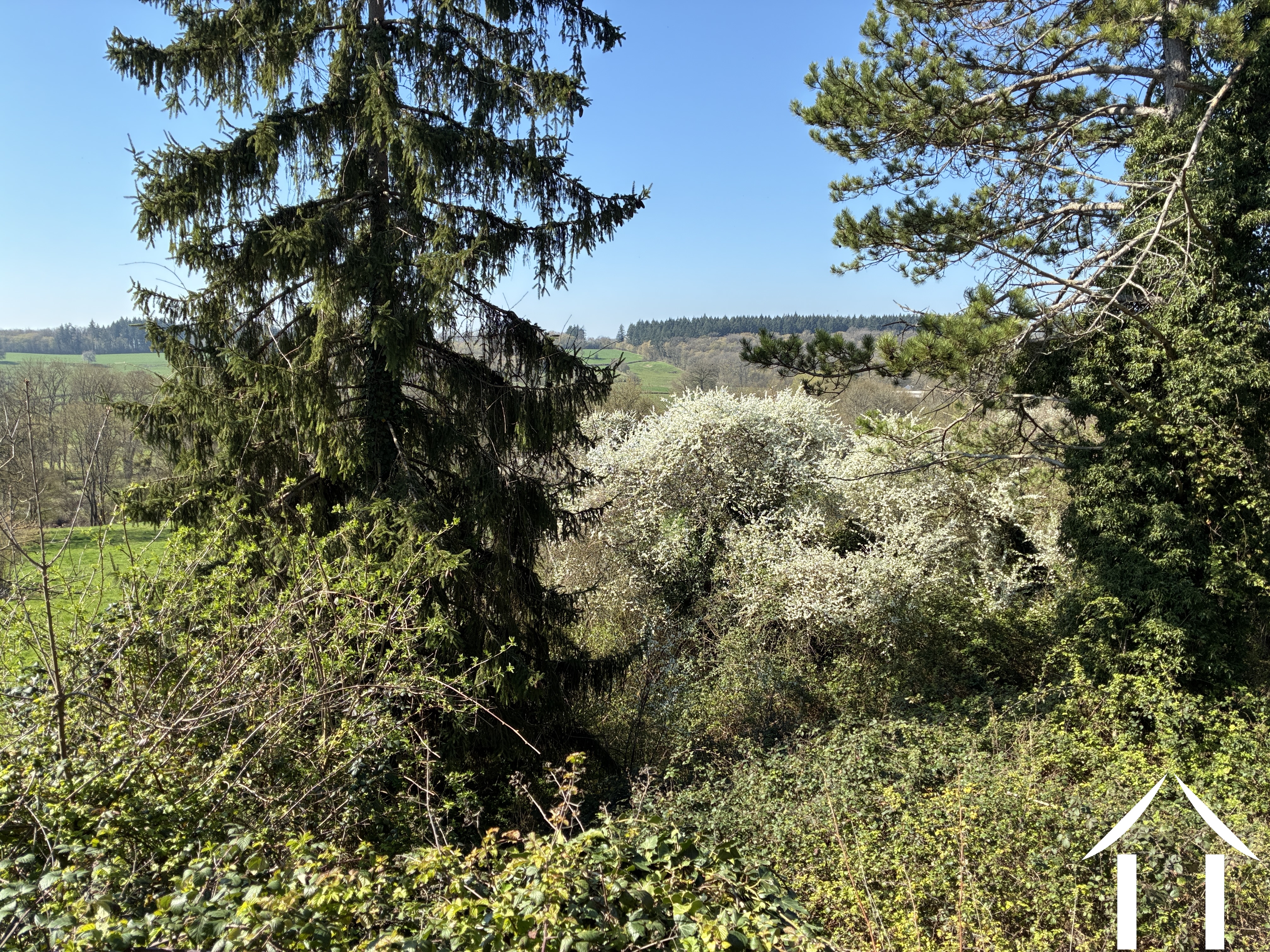 Woonhuis te koop mont et marre, bourgogne, cvh 5658 Afbeelding - 15