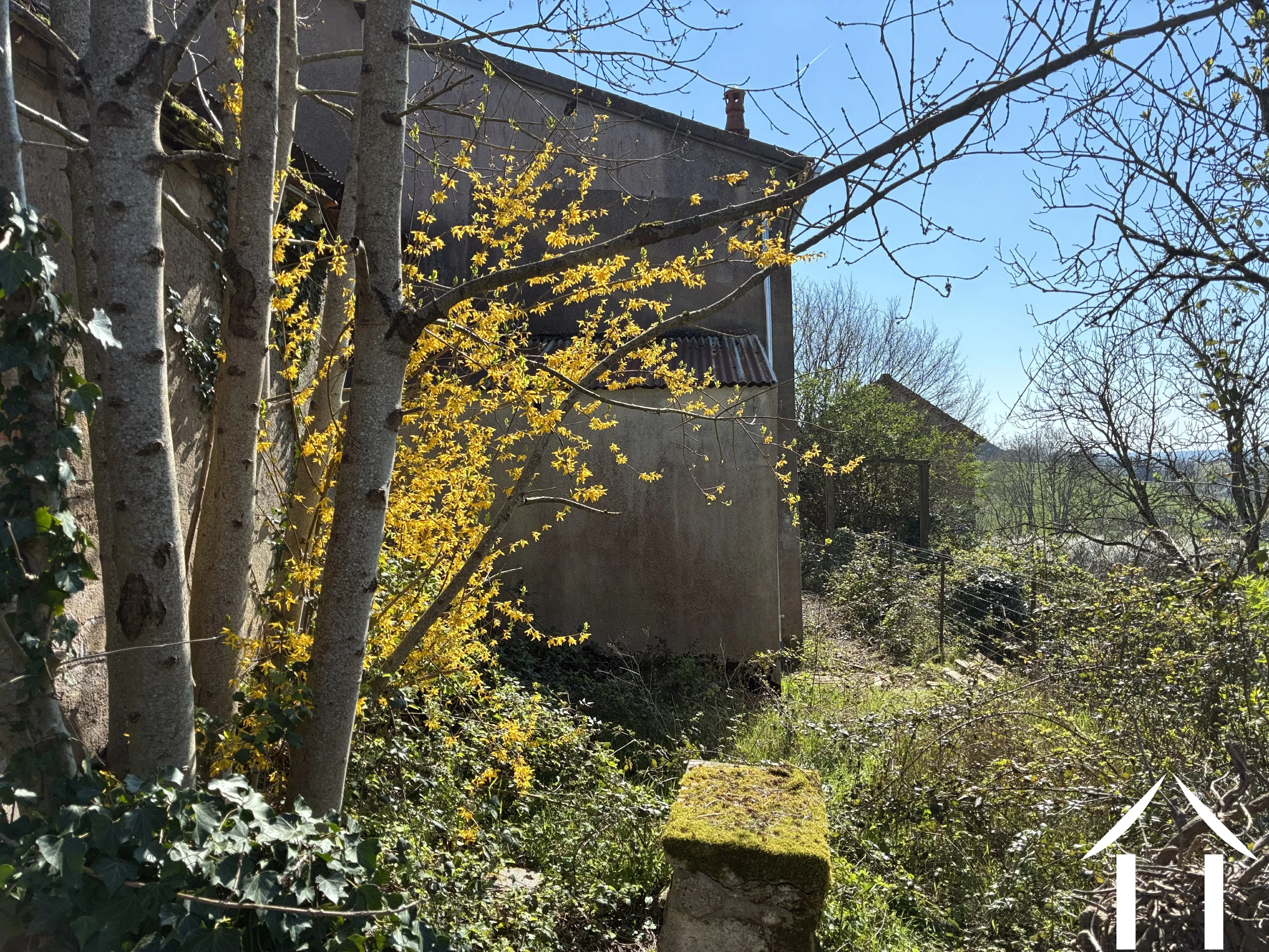 Woonhuis te koop mont et marre, bourgogne, cvh 5658 Afbeelding - 16