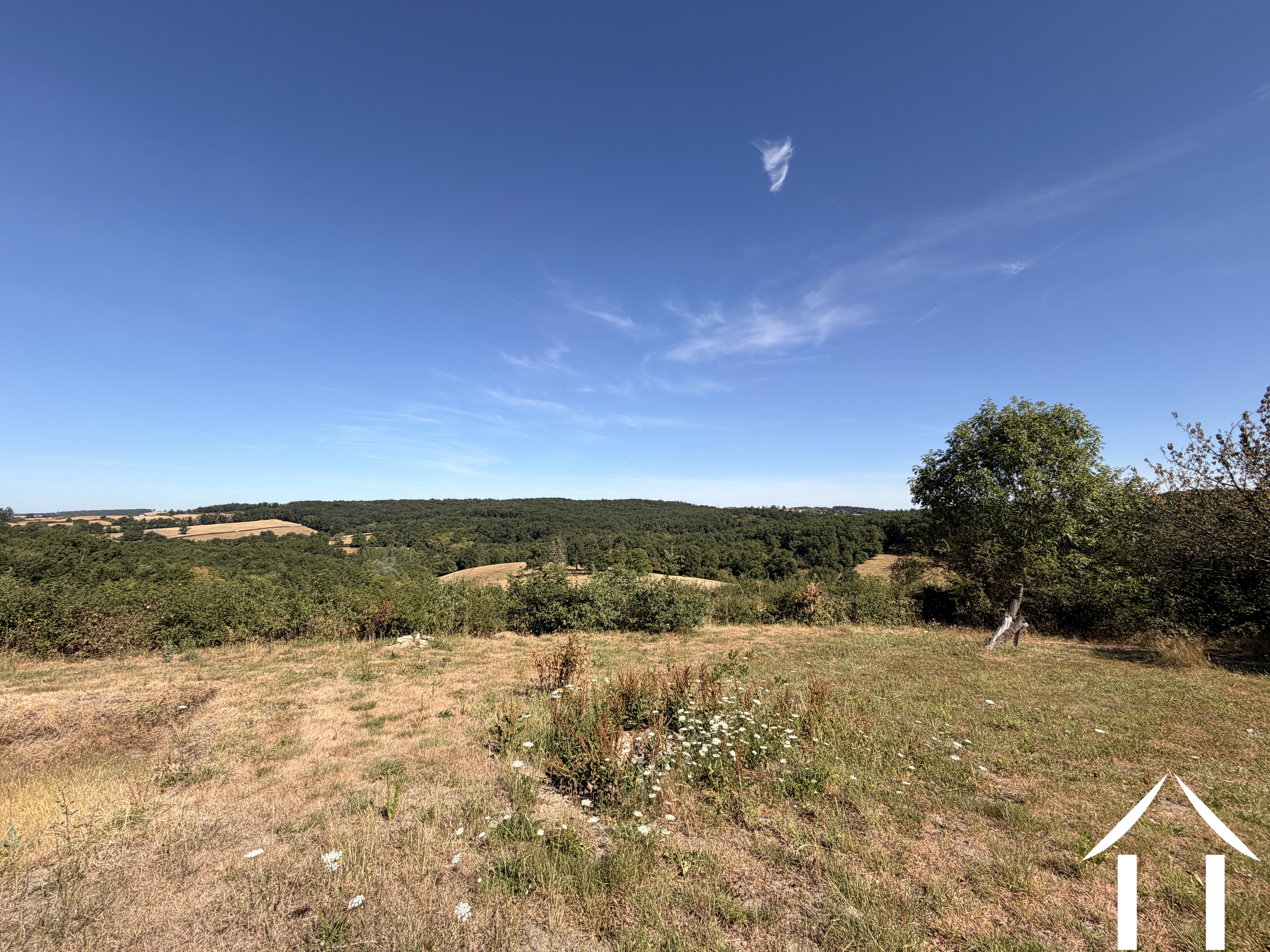 360 free views on countryside