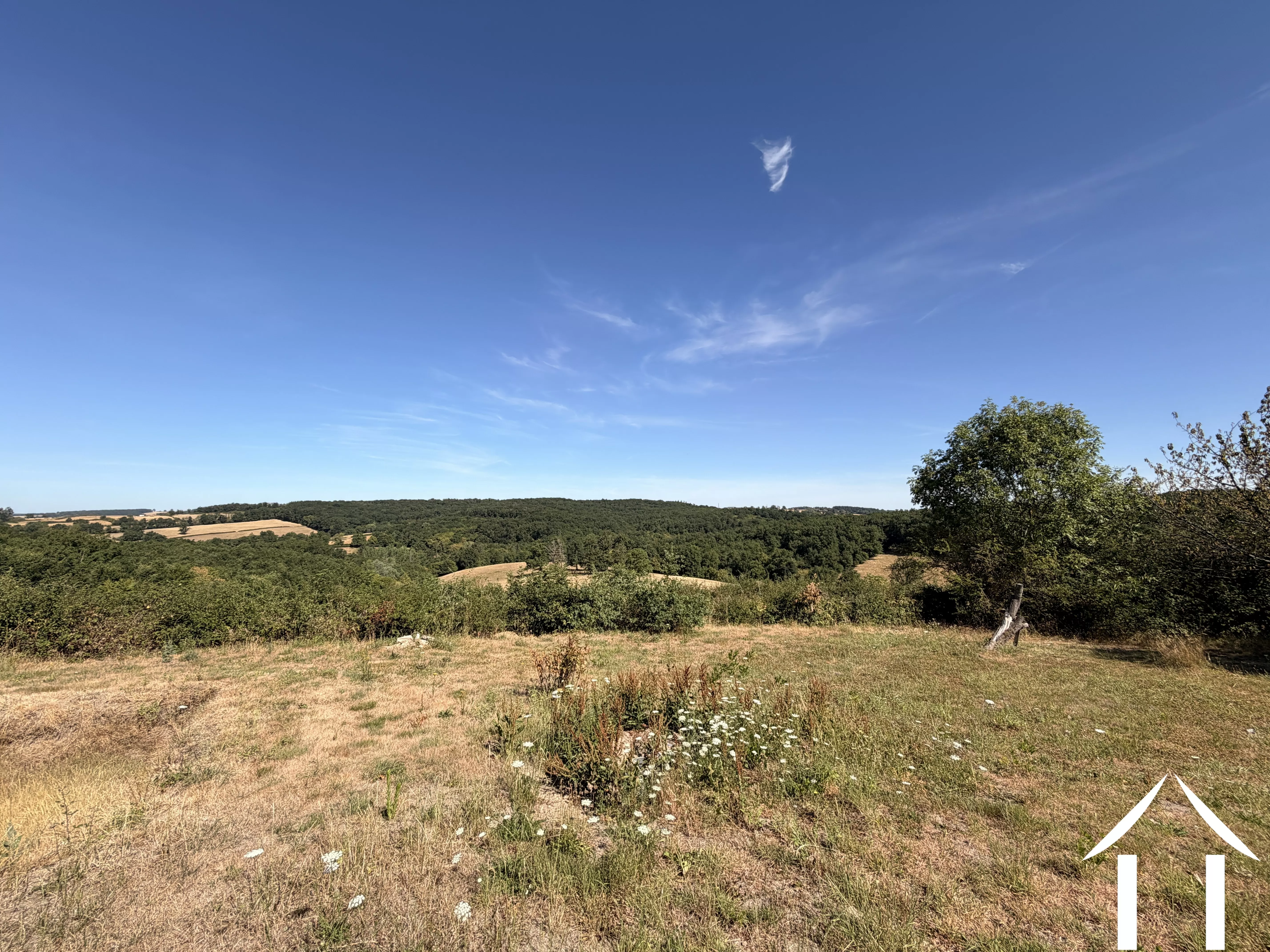 360 free views on countryside