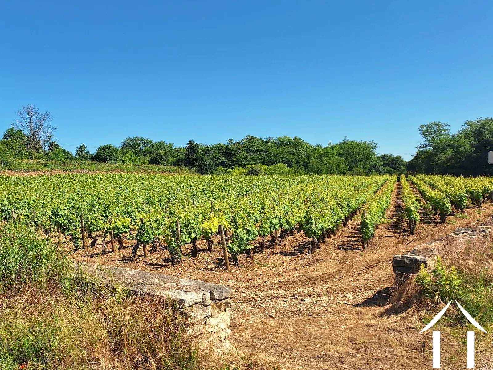 Woonhuis te koop chagny, bourgogne, JDP5691S Afbeelding - 35
