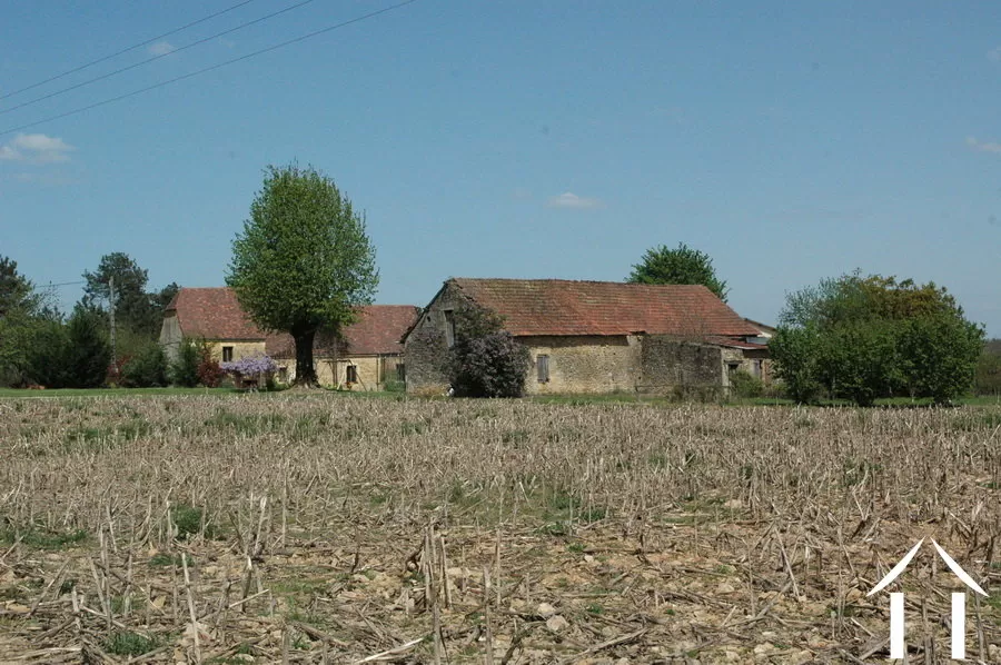 Bezit 1 hectare ++ te koop montignac, aquitanië, GVS3746C Afbeelding - 9