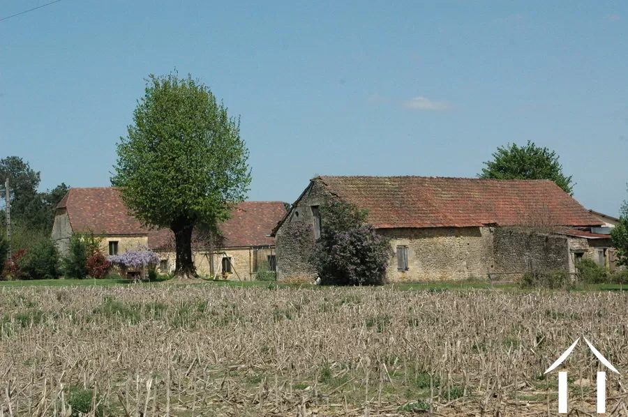 Bezit 1 hectare ++ te koop montignac, aquitanië, GVS3746C Afbeelding - 10