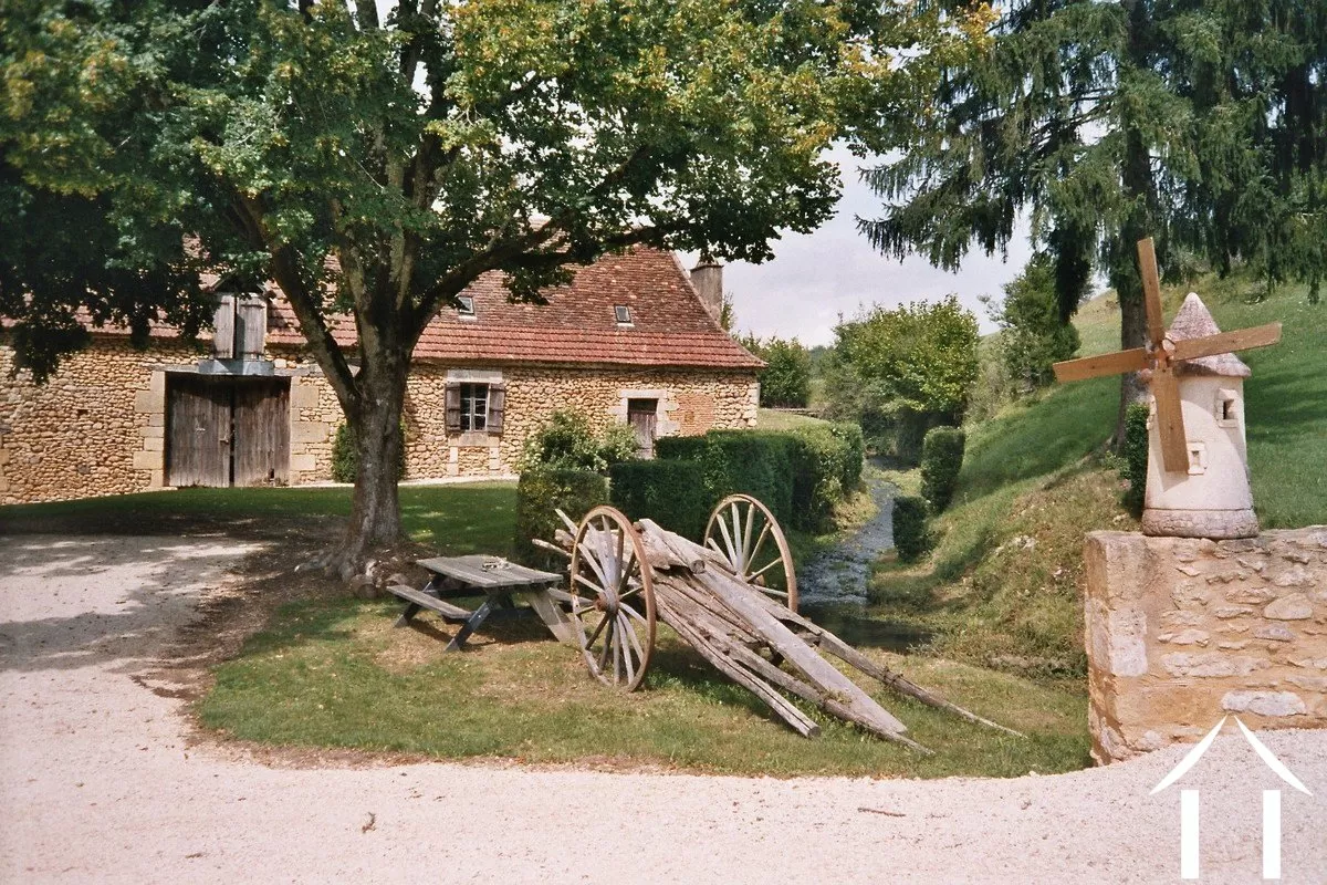 Bezit 1 hectare ++ te koop montignac, aquitanië, GVS4850C Afbeelding - 6