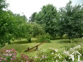 Volwassen tuin