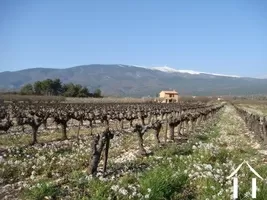 Cottage te koop bedoin, provence-alpen-côte d'azur, 2096 Afbeelding - 10