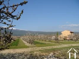 Cottage te koop bedoin, provence-alpen-côte d'azur, 2096 Afbeelding - 12