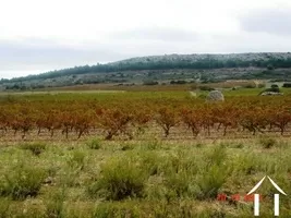 Woonhuis te koop fitou, languedoc-roussillon, AS110007FI Afbeelding - 4
