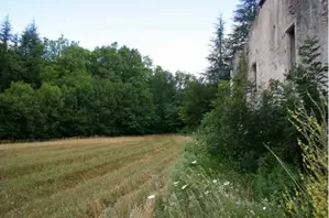 Schuren, ruïnes e.d. te koop olargues, languedoc-roussillon, U340522159 Afbeelding - 3