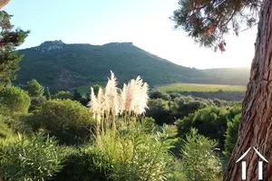 Woonhuis te koop lodeve, languedoc-roussillon, 11-2175 Afbeelding - 4