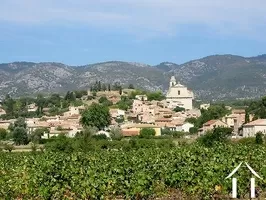Bezit 1 hectare ++ te koop bedoin, provence-alpen-côte d'azur, 11-2146 Afbeelding - 10
