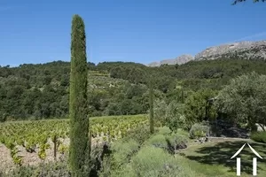 Onderneming te koop beaumes de venise, provence-alpen-côte d'azur, 11-2347 Afbeelding - 6
