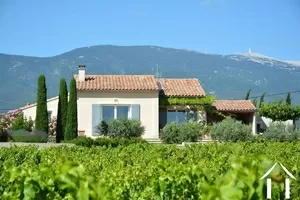 Huis met gastverblijf te koop bedoin, provence-alpen-côte d'azur, 11-2369 Afbeelding - 13