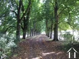 Kastanje laan 
