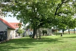 Huis met gastverblijf te koop varennes les narcy, bourgogne, LB2815N Afbeelding - 6