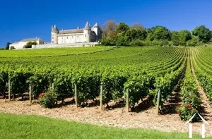 vineyards at just a few kilometers