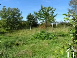 large plot with a orchard among other things