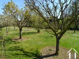 the well kept orchard