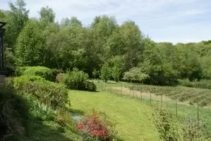 garden and views