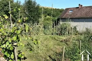 Potager en bas du jardin