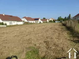 plot behind the house