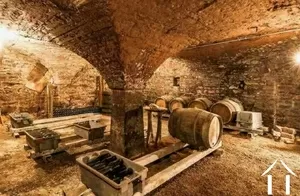 one of many cellars!