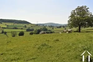 view over the fields towards Cluny