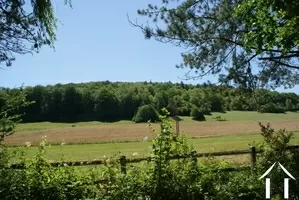 Countryside view