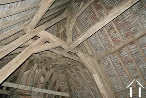 rare original roof structure