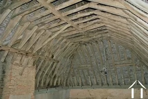 rare roof structure