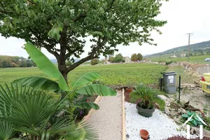 Garden and view