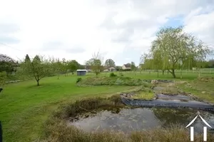 Garden with ponds