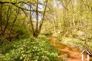 Bezit 1 hectare ++ te koop neuvic entier, limousin, 777 Afbeelding - 37