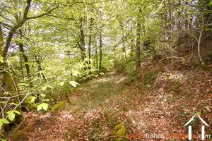 Bezit 1 hectare ++ te koop neuvic entier, limousin, 777 Afbeelding - 39