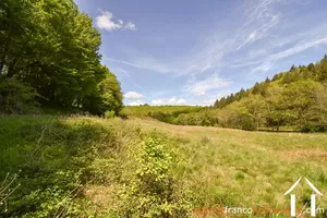 Bezit 1 hectare ++ te koop neuvic entier, limousin, 777 Afbeelding - 40