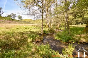 Bezit 1 hectare ++ te koop neuvic entier, limousin, 777 Afbeelding - 38